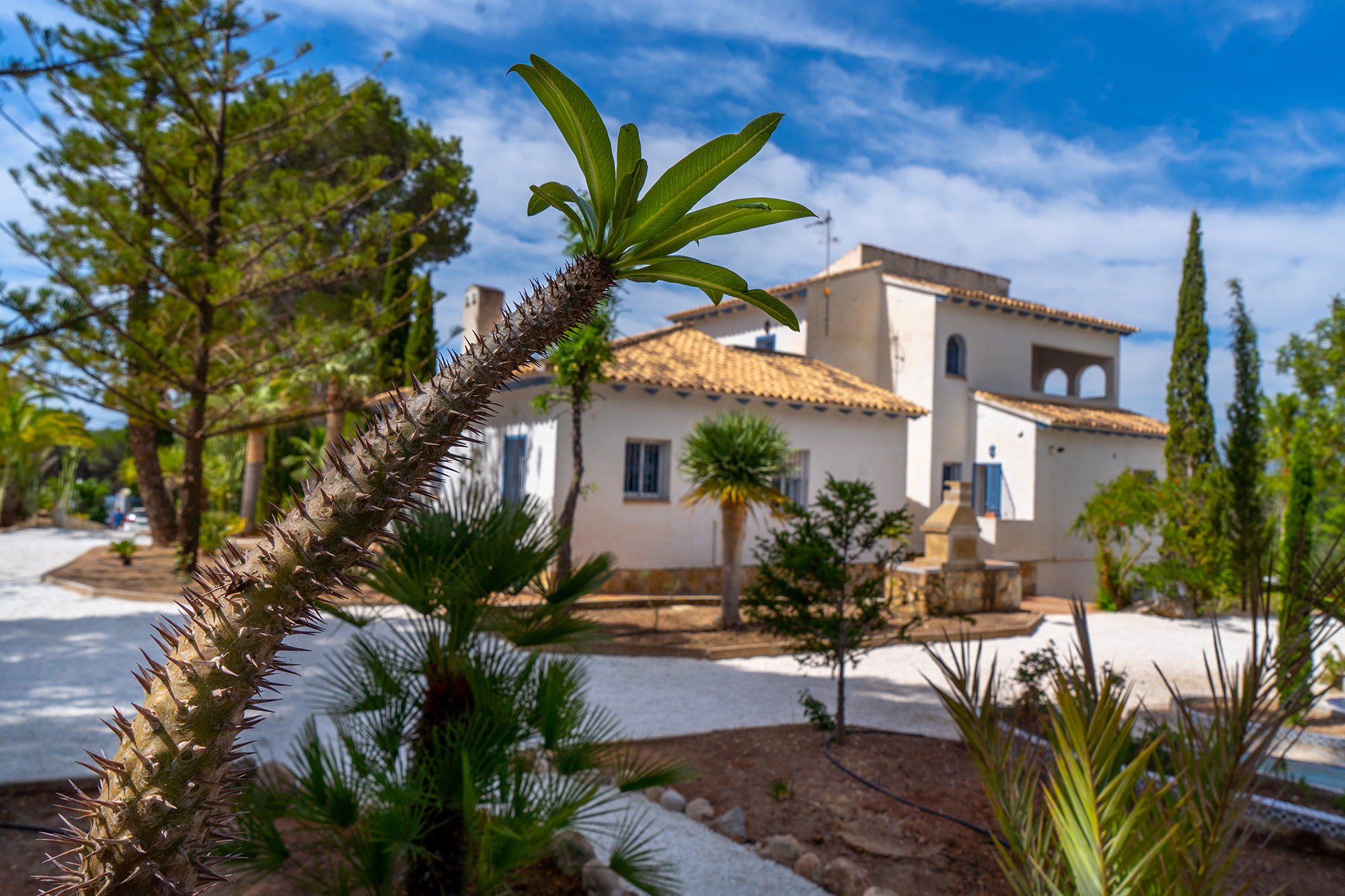 Holiday House Las Araucarias Gardens
