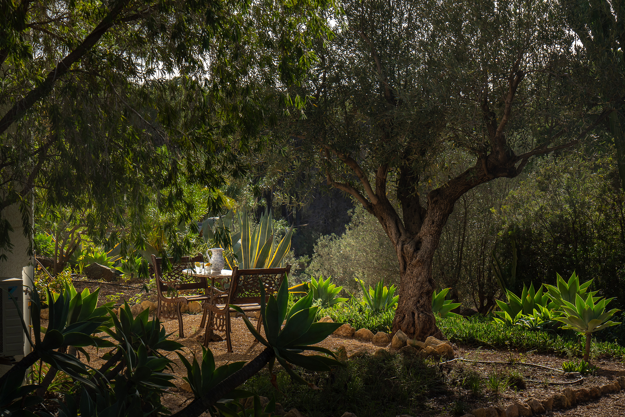 Holiday Home Los Azahares Garden